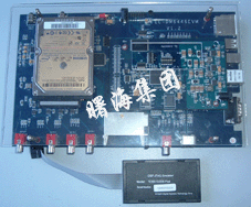 �_������̖6446�_�l(f��)��